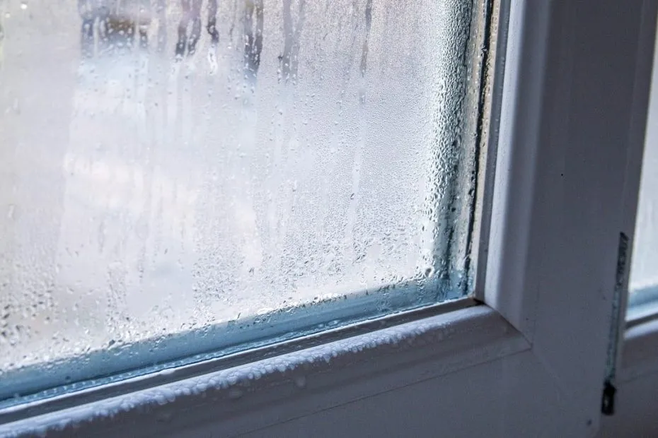 Tackling damp indoors: effective home remedies for dry windows in autumn and winter